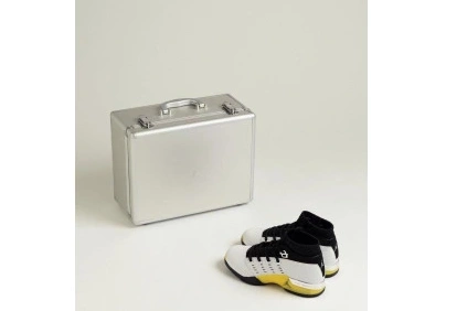Jordan 17 Low “Lightning” Air 0829